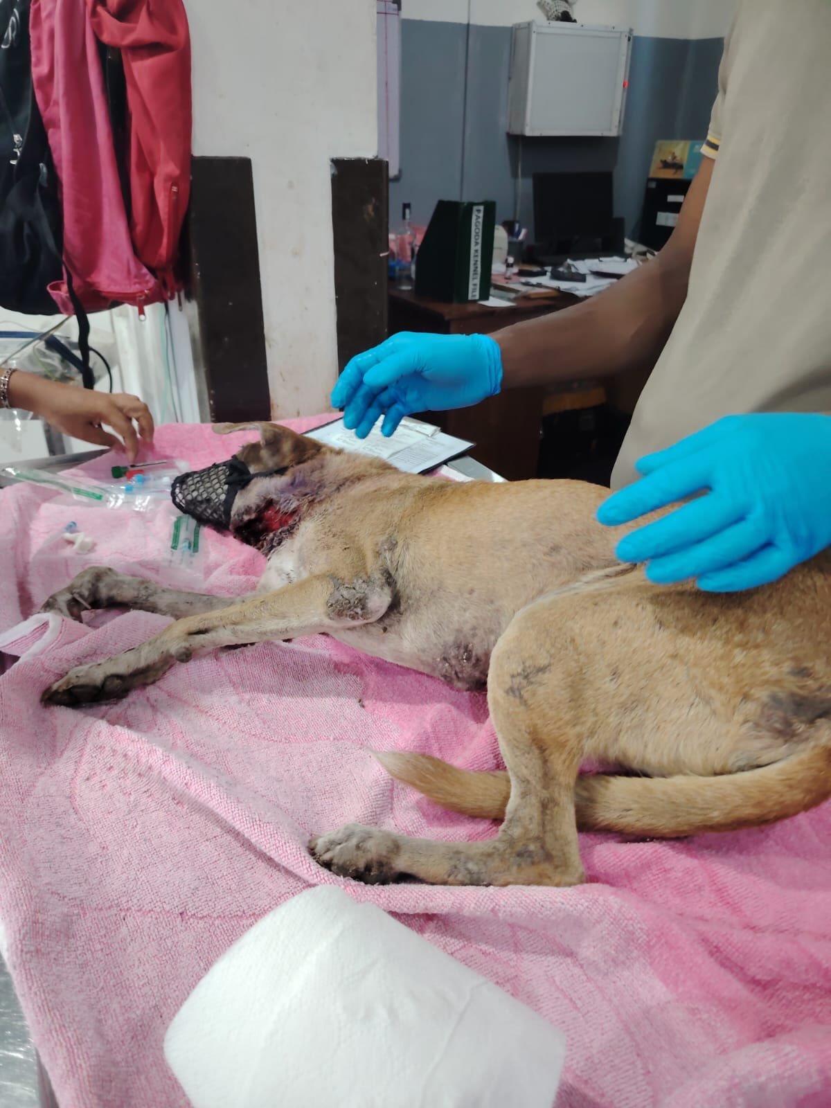 Meeka Injury Rescue